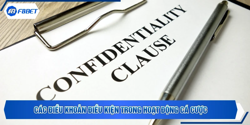 Các điều khoản điều kiện trong hoạt động cá cược