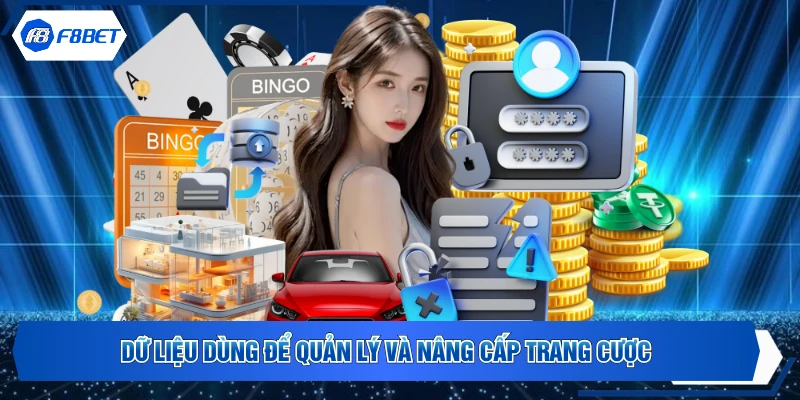 Dữ liệu dùng để quản lý và nâng cấp trang cược