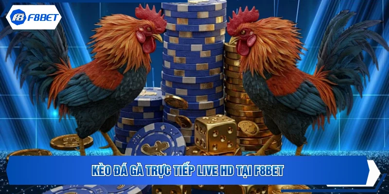 Kèo đá gà trực tiếp live HD tại F8BET