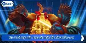 Kèo Đá Gà Trực Tiếp - Theo Dõi Trận Đấu Căng Thẳng 24/7