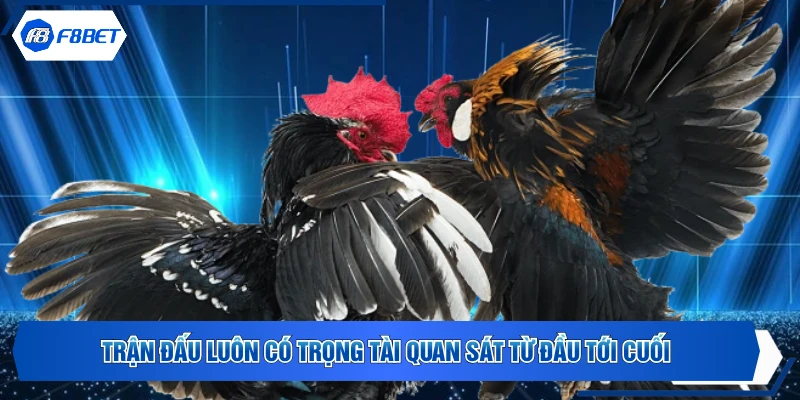 Trận đấu luôn có trọng tài quan sát từ đầu tới cuối